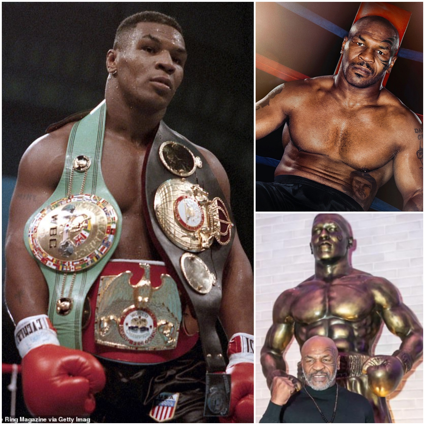 Achievements And Awards - Curious About Mike Tyson's Achievements? He