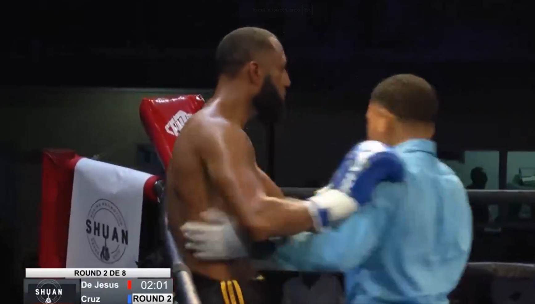 Julio de Jesus Rodriguez pushed the referee after he announced a stoppage