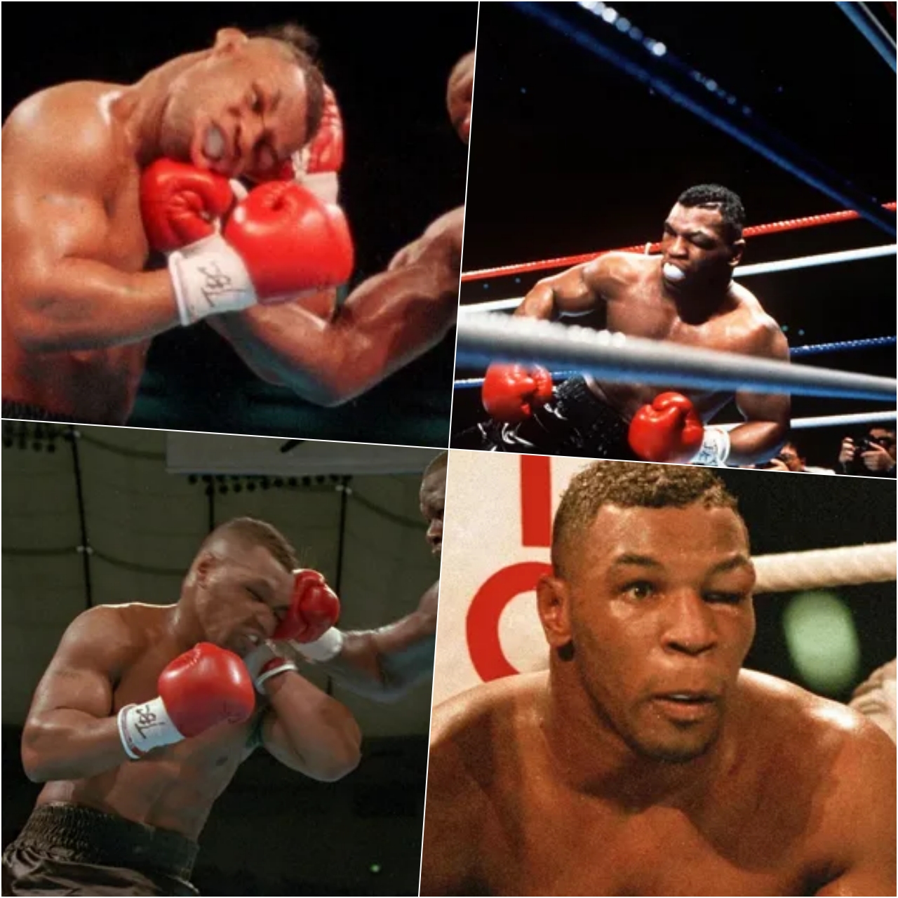 The secret of the first time Mike Tyson was knocked out. - amazingtoday.net